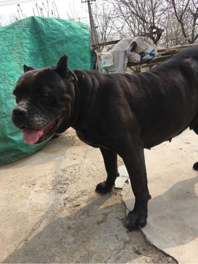 手机没有电了？大概会