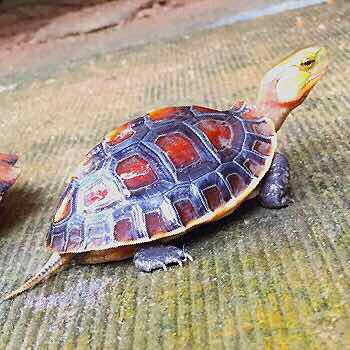 电工维修家电水电网购家具安装