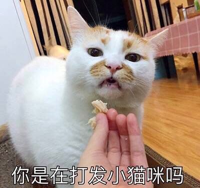 立邦漆