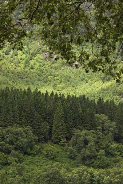 专业强弱电综合布线施工队