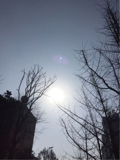 墙纸墙布墙纸墙布施工墙纸墙布施工