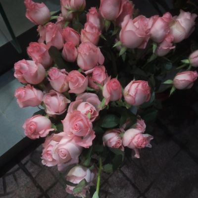 维修电工水