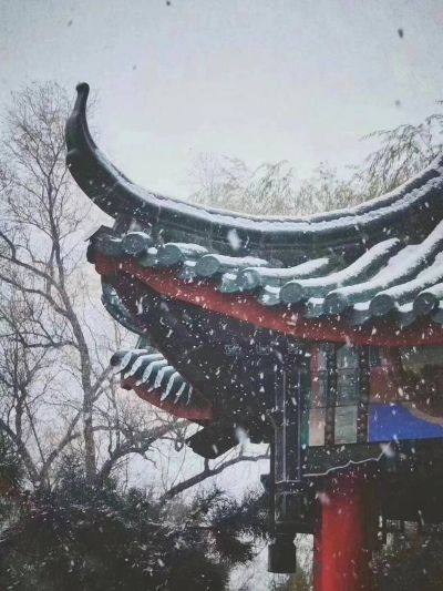 房屋整装