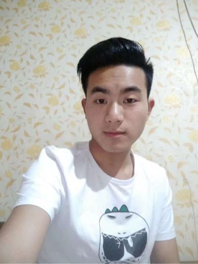 专业贴墙纸
