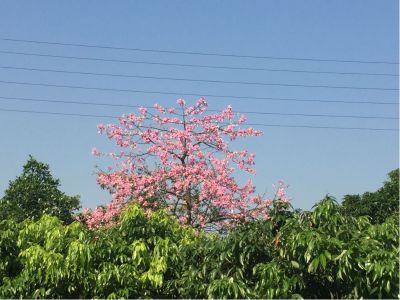 空调安装空调安装