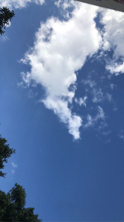 弱电