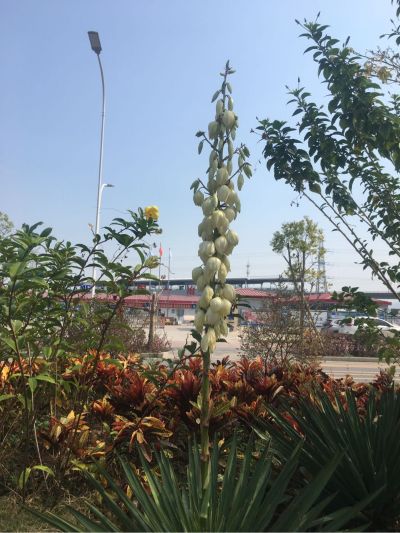工程