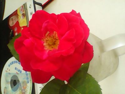 装修防水油漆二手手房翻新