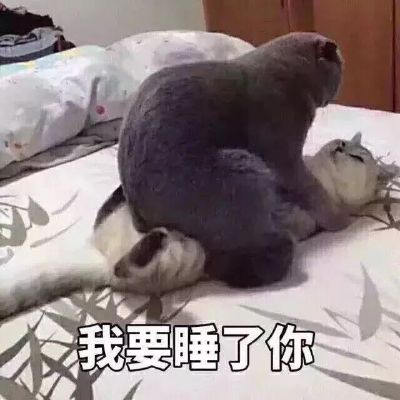 安装拆卸