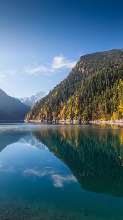 水电维修，灯饰安装，水暖卫浴安装维修，窗帘安装。