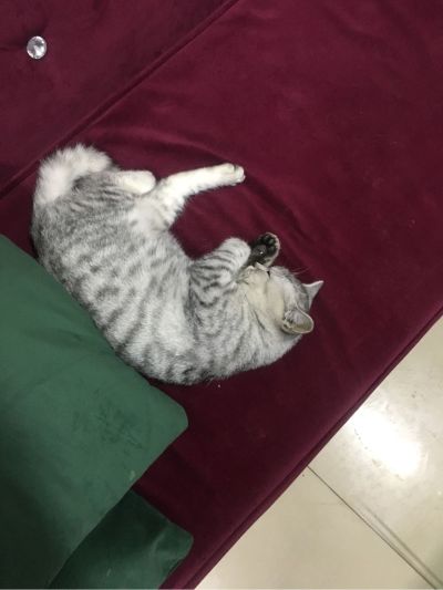 从业资格