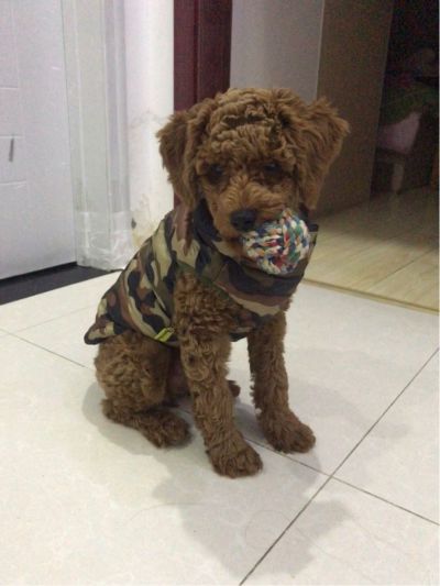 家具组装