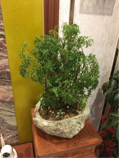 安装维修清洗