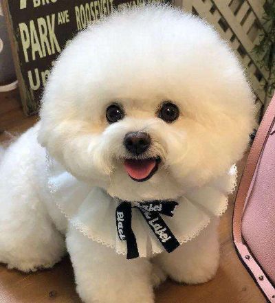 装修