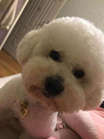长虹维修