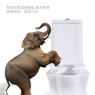 卫浴