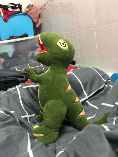 电脑监控司机