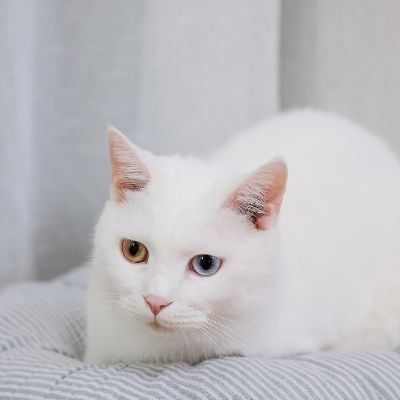 全屋订制设计全屋定制