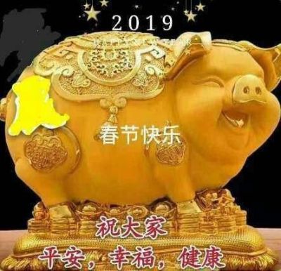 没有