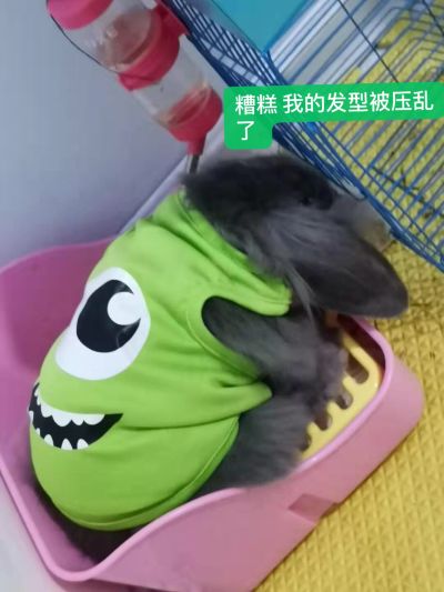 无