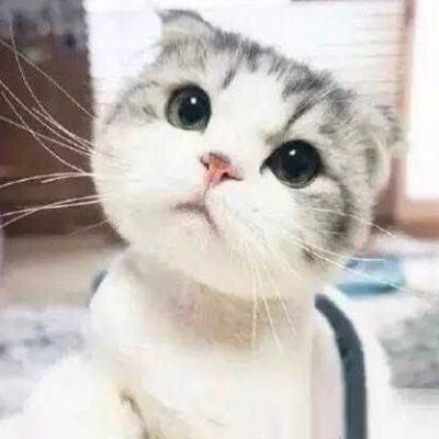 氩弧焊叉车
