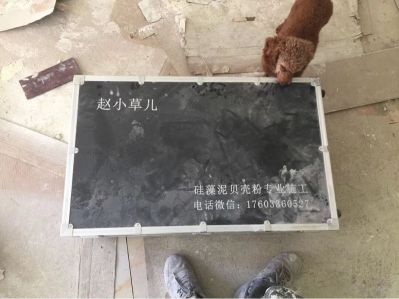 硅藻泥贝壳粉硅藻泥贝壳粉