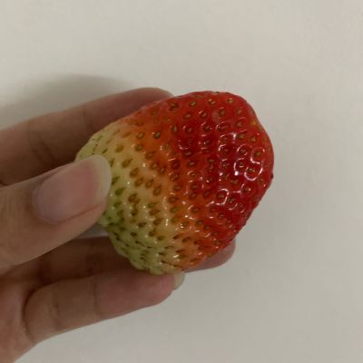 卫浴
