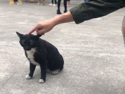 用户
