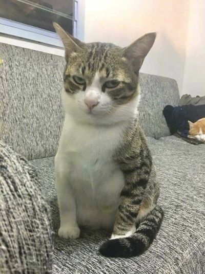 水电洁具安装水电安装维修