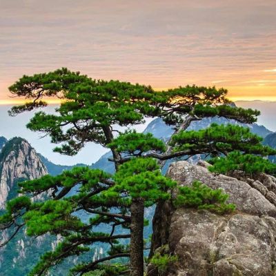 厨卫安装维修厨卫安装维修厨卫安装维修厨卫安装维修