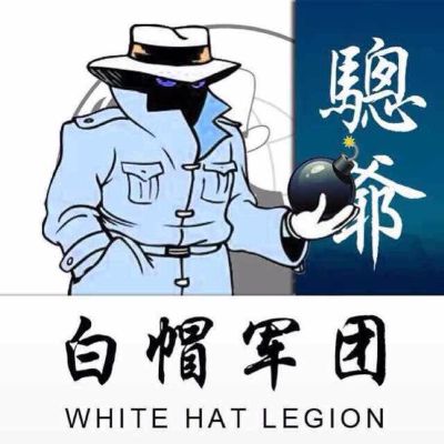 专业美缝