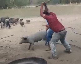 接单