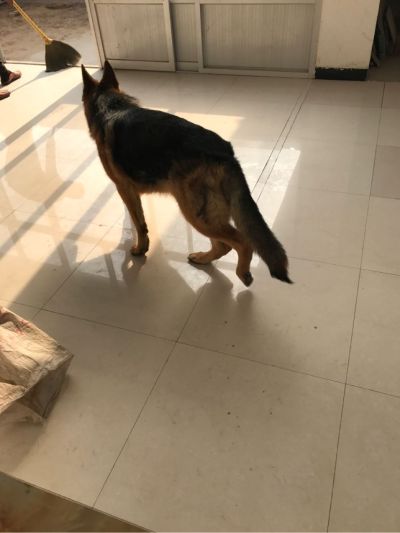 普工