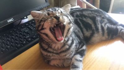 弱电安防
