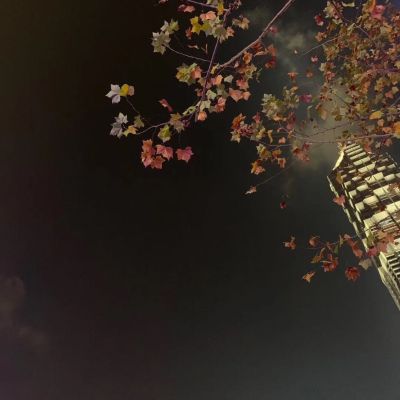 创意软装