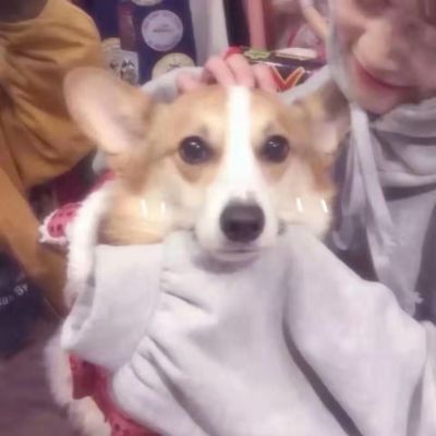 淘宝小工散活学徒打杂搬运