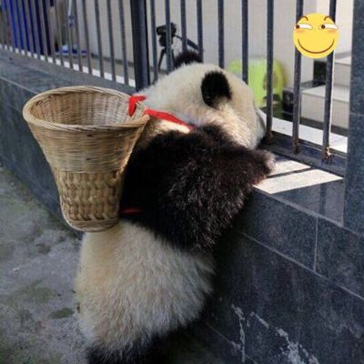 安装