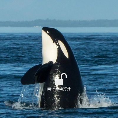 居家安装维修水电维修安装