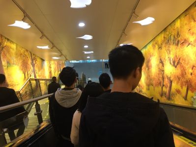 财务
