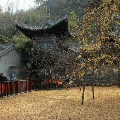 地板墙面防水