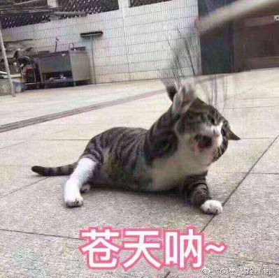 信息技术