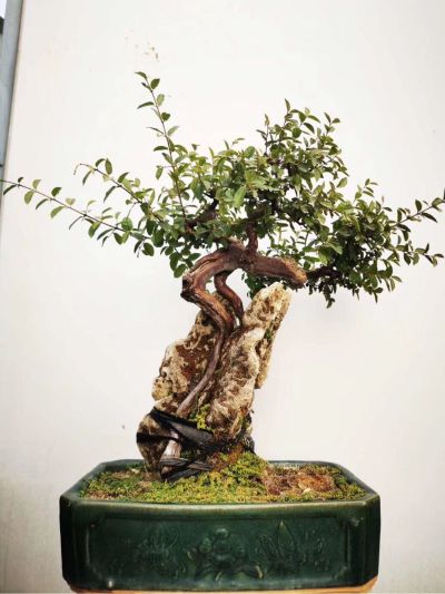 净水门窗空调净水器空调门窗