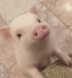 代驾