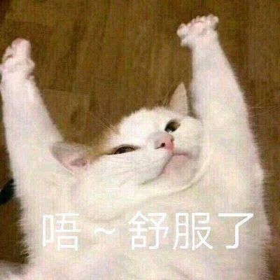 工程绿化花艺