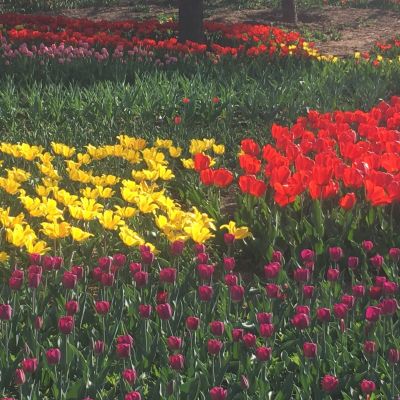 电脑维修  服务器维修 网络调试