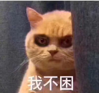 灯饰洁具