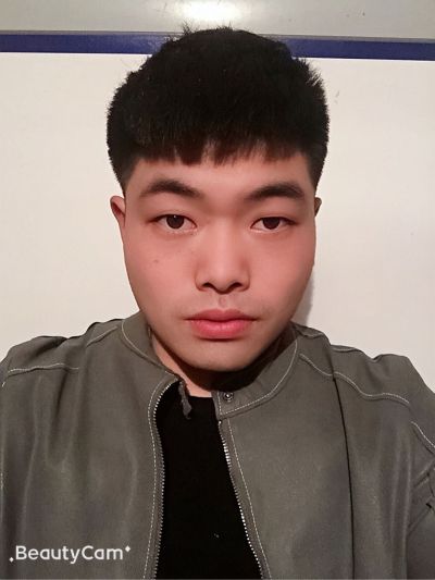 木门木地板