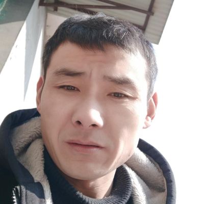 专业墙地砖