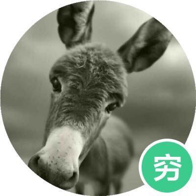 什么都会