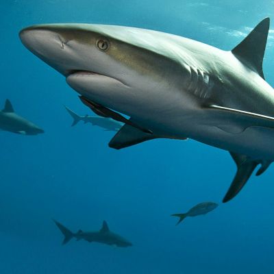 装修全活专业木工全包新型地暖墙暖